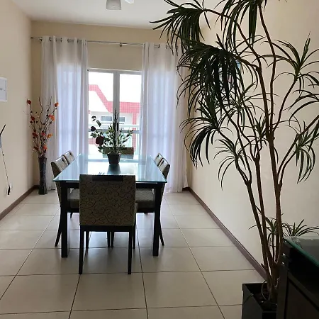 Cobertura Duplex Algodoal-3